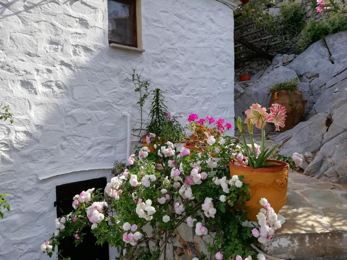 Вілла Arbeli House Mandraki  Екстер'єр фото